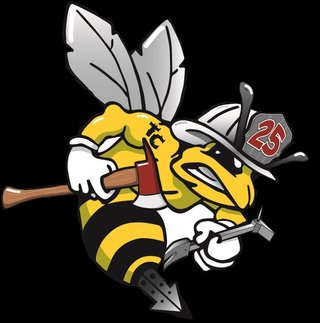 Terry's Corners Fire Bee